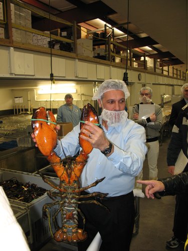 Экскурсия на производства компаний в Нью-Бедфорд. Пауль Рего (Paul J. Rego) демонстрирует гигантского лобстера